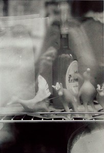 Image description is not available for 1999.049